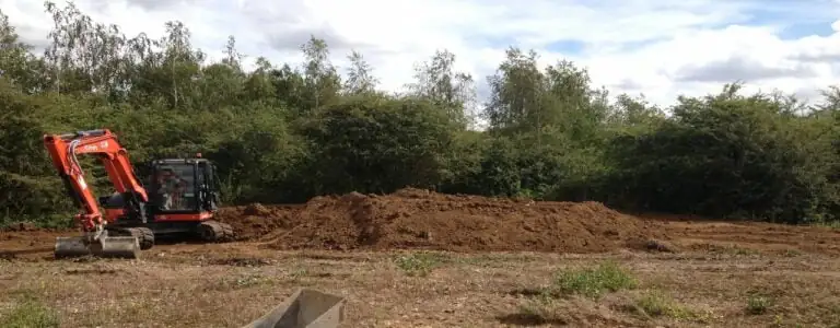 RemovingJapanese knotweed from a construction site