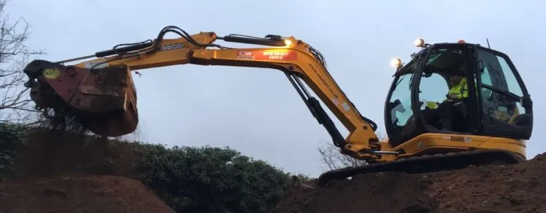 Japanese knotweed on a construction site