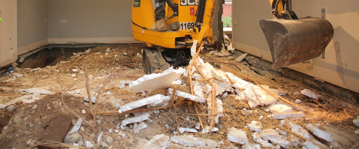 The worst case of property damage by bamboo we’ve ever seen UK