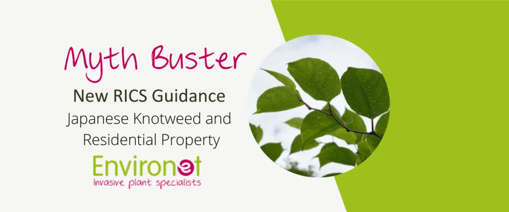 RICS Knotweed Myth Buster