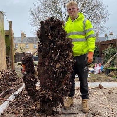 Surveyor fails to spot Japanese knotweed