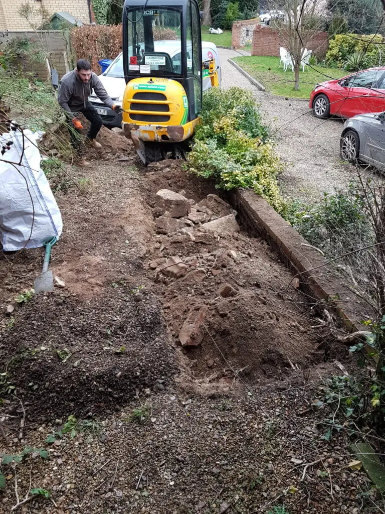 Japanese knotweed removal