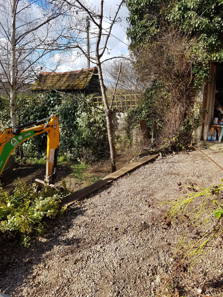 Japanese knotweed removal taking place in residential garden