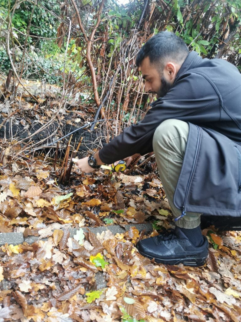 Samir looking at invasive plant rhizome