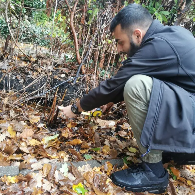 Samir looking at invasive plant rhizome