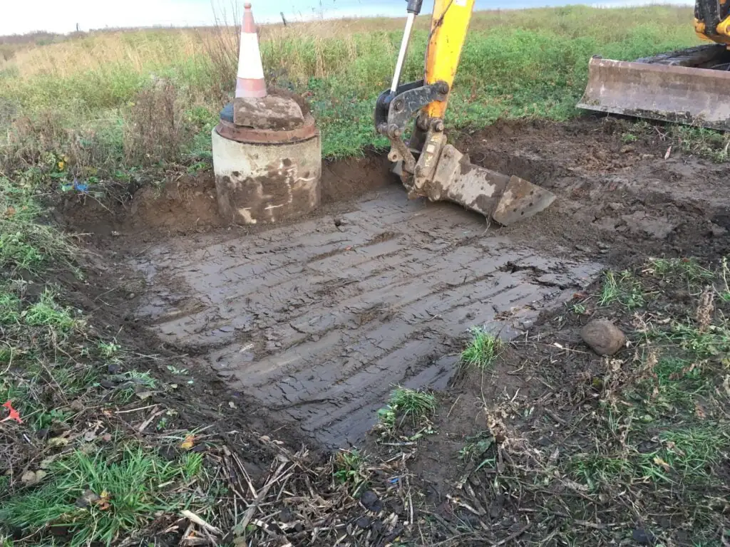 Japanese knotweed excavation