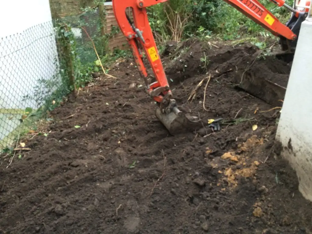 Japanese knotweed excavation