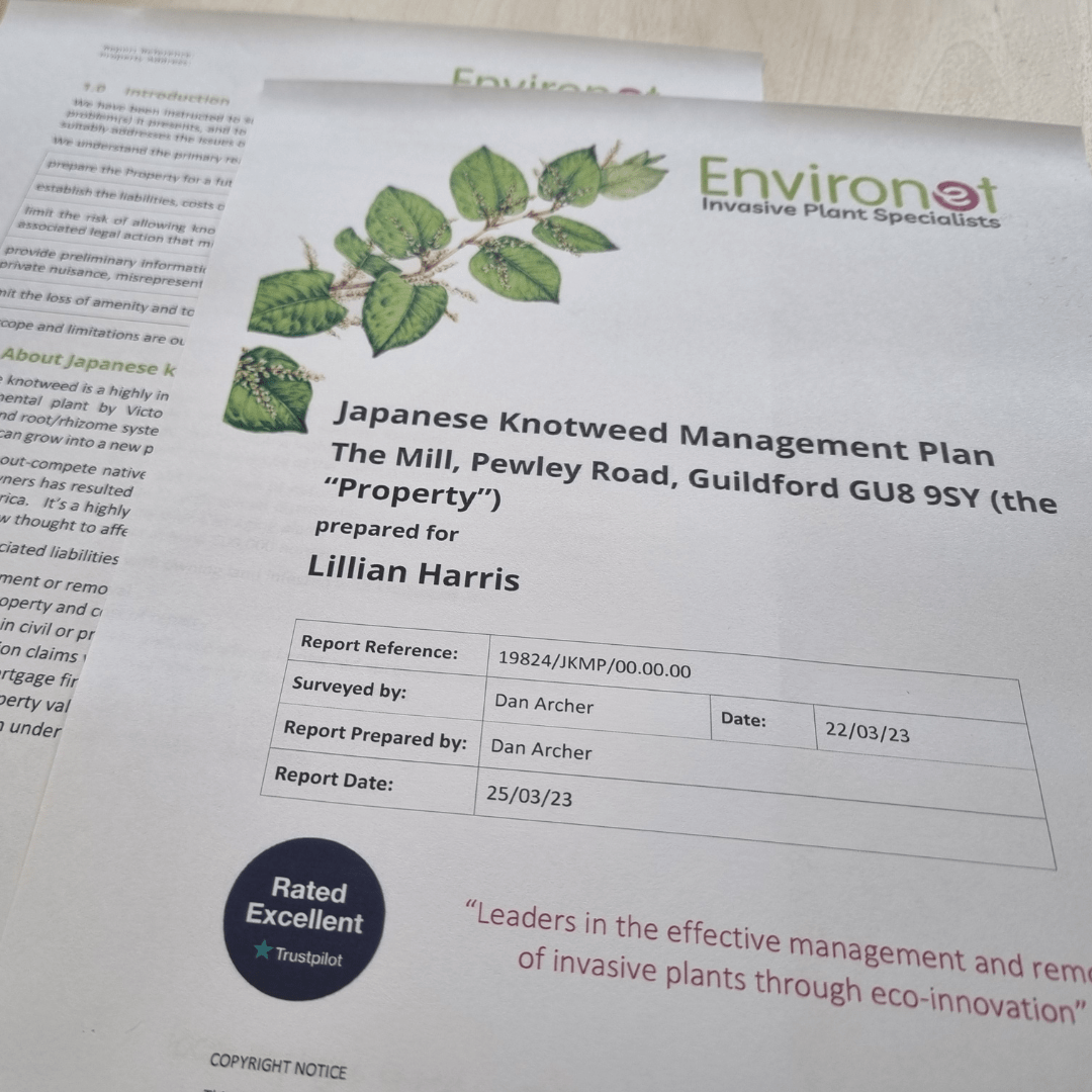 Environet Japanese knotweed Management Plan