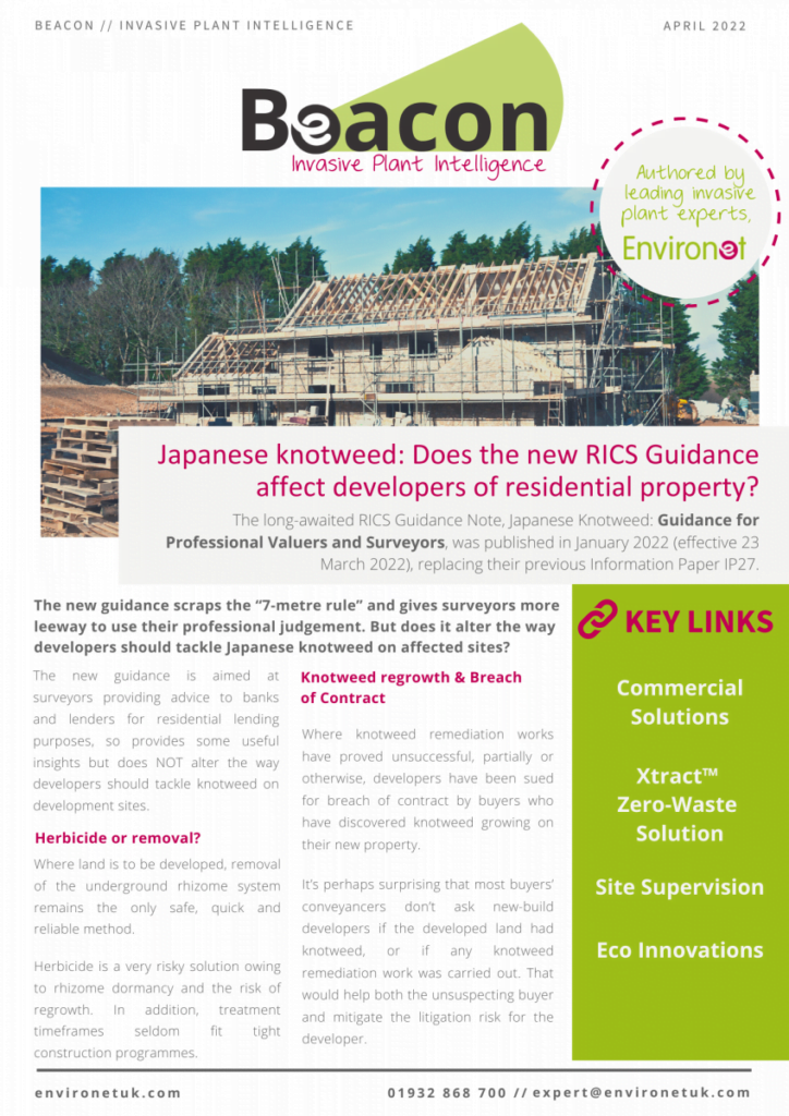 Beacon cover, Japanese knotweed and rics guidance