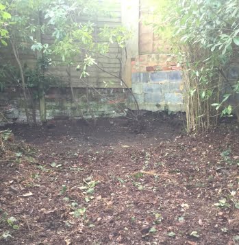 Japanese knotweed-free garden post excavation in Runneymede