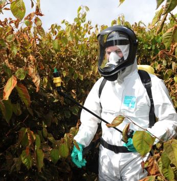 Environet staff member wearing protective PPE whilst treating Japanese knotweed with herbicide