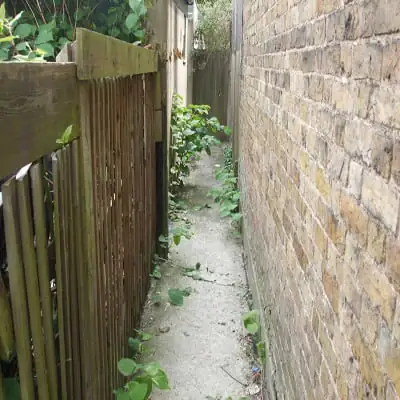 Knotweed encroachment on a residential site