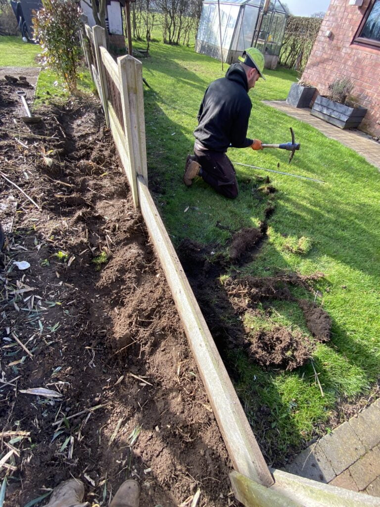 Residential bamboo removal