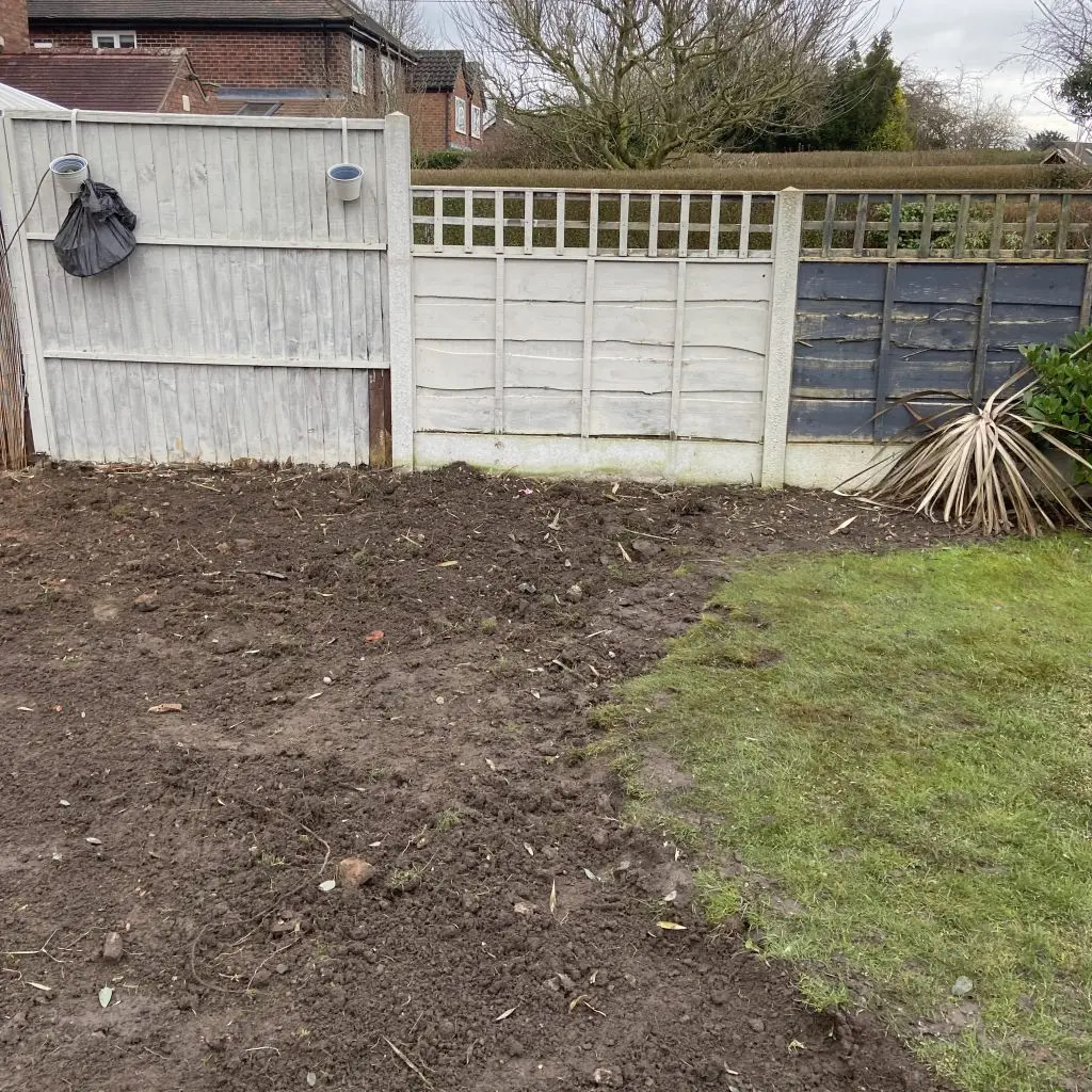 Garden after bamboo removal