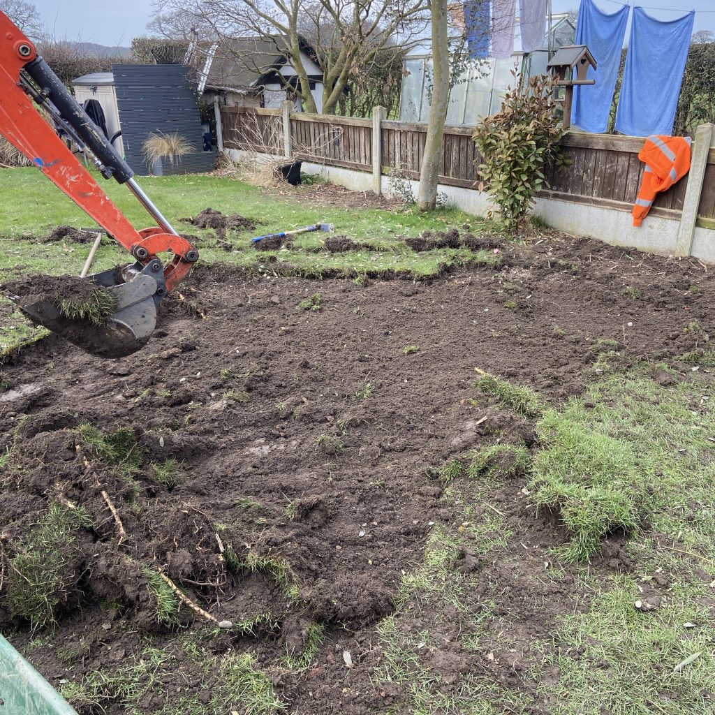 bamboo removal from lawn