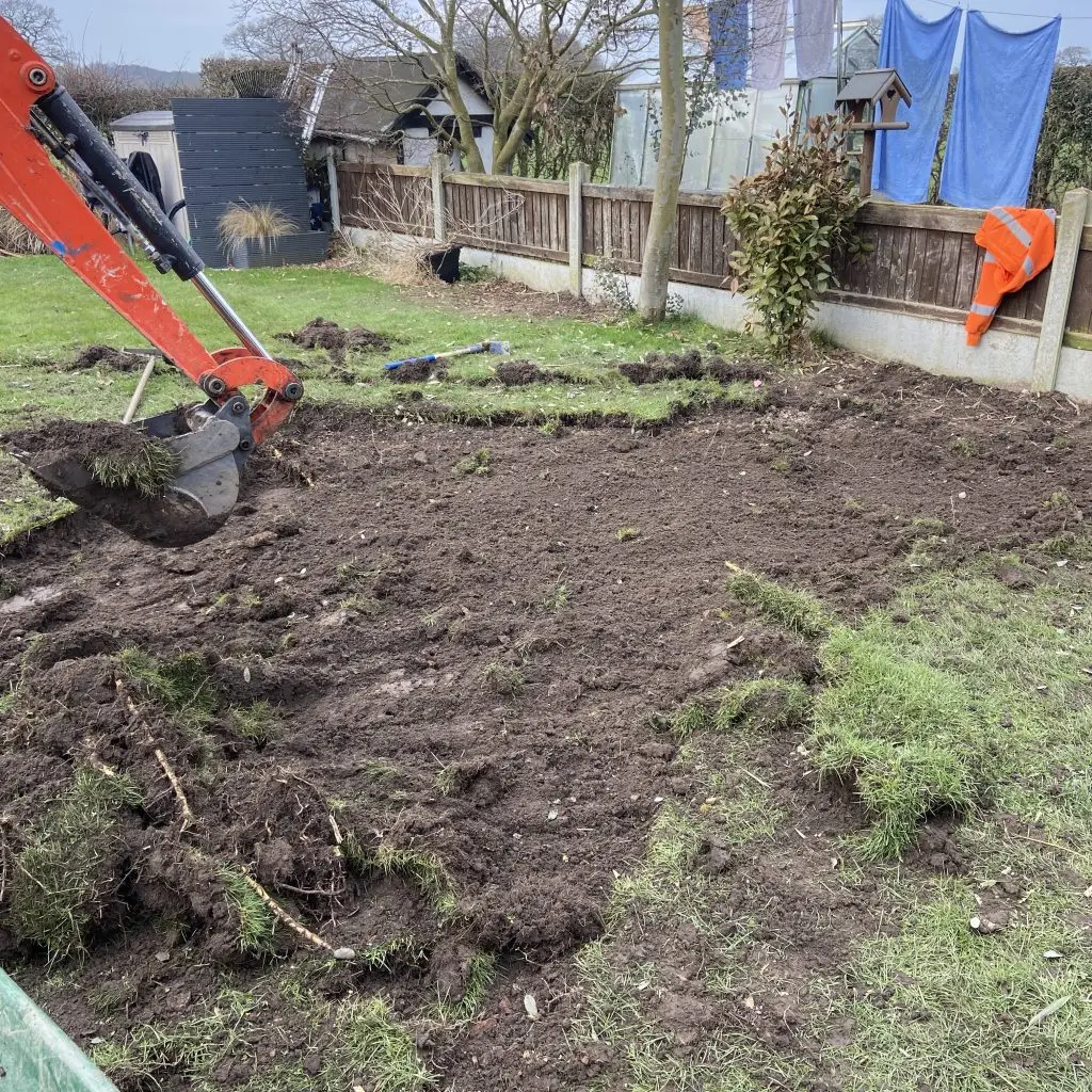 bamboo removal from lawn