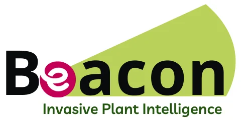 Updated Beacon logo