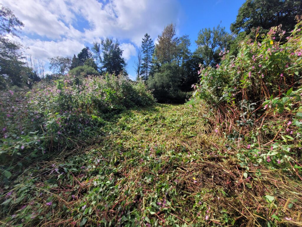 Veg clearance through balsam