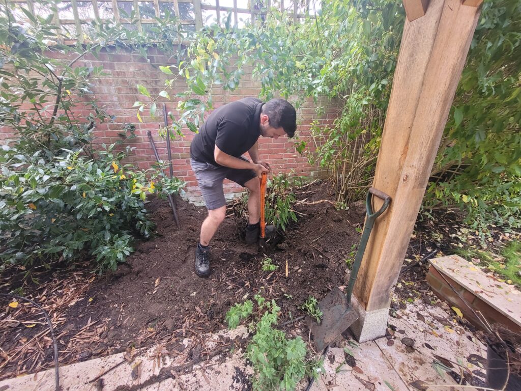 A picture of Sam Moss manually digging out Bamboo off the ground