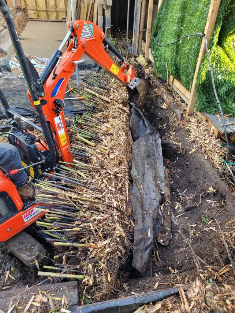 Bamboo being removed on a residential project