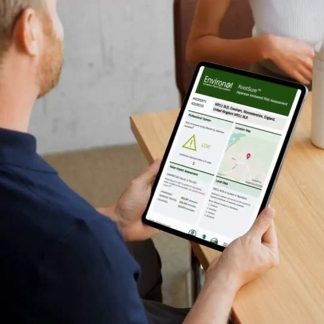 knotsure report on tablet