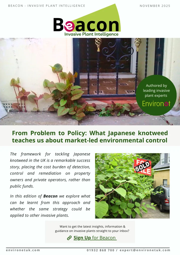 Beacon November 2025