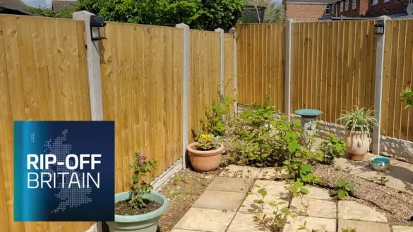 Rip off britain knotweed