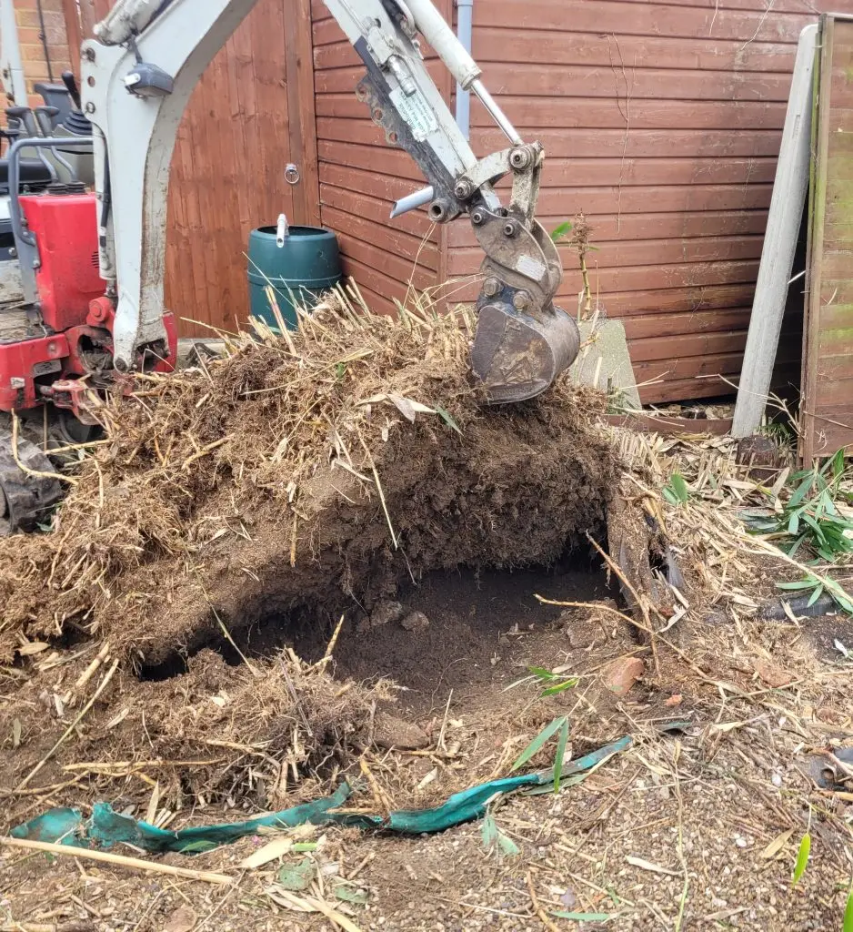 Excavating runners and root system in Send Woking