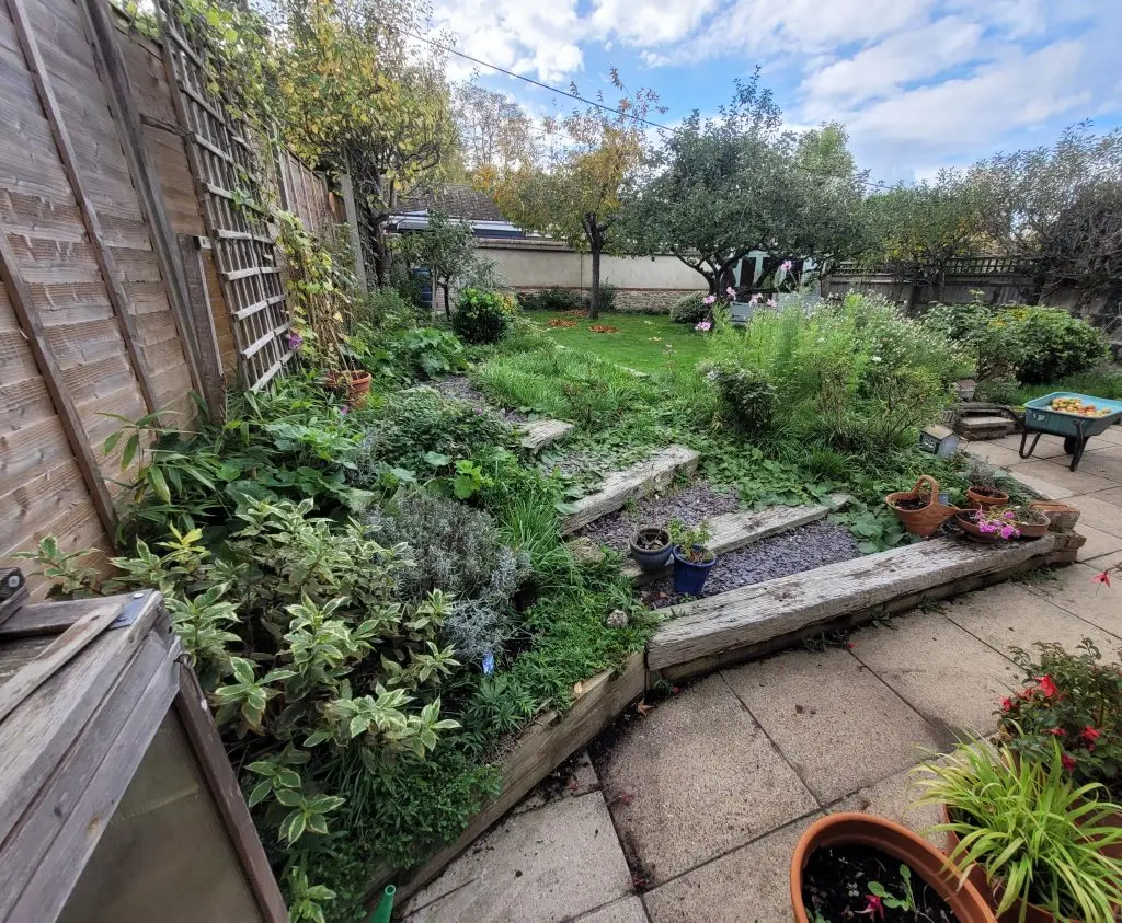 Bamboo growth intertwined with flower bed vegetation and hard landscaping - Wallingford