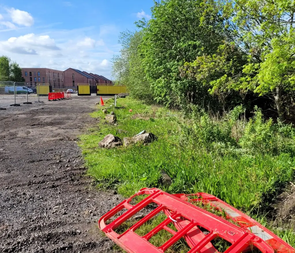 Japanese knotweed removal - Rotherham - before photo