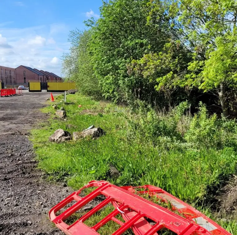 Japanese knotweed removal - Rotherham - before photo - Japanese knotweed growth along the riverbank