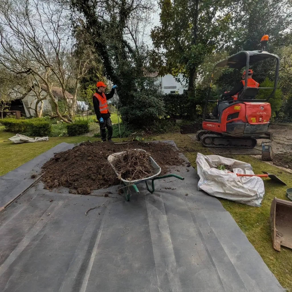 knotweed excavation in progress with an excavator and site team at work in a garden